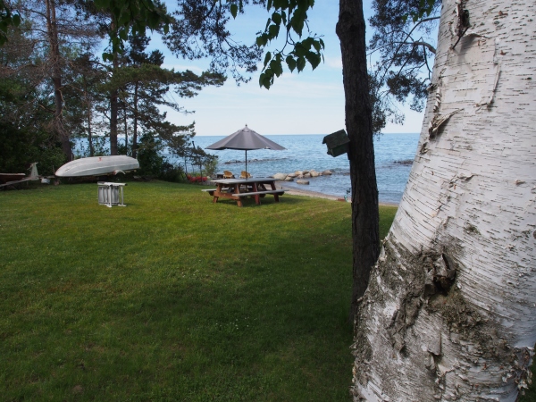 Collingwood, on the banks of the Georgian Bay, is cottage country